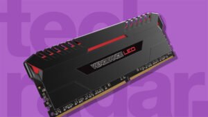 Ram