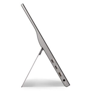 ViewSonic TD1655 Portable Touch Monitor